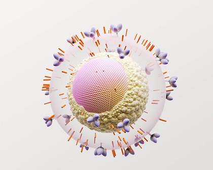 3D rendering of the HIV virus