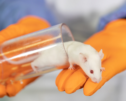 Mouse coming out of a beaker