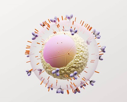 Représentation 3D d’une cellule virale du VIH