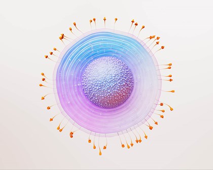 Représentation 3D d’une cellule virale du zona