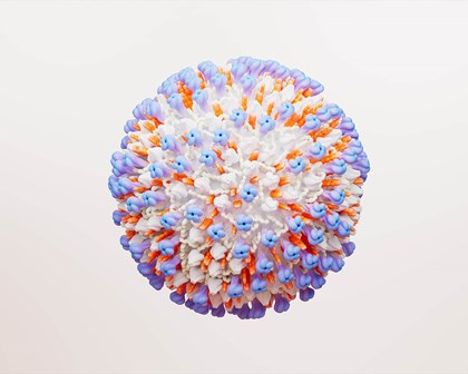 Représentation 3D d’une cellule virale du VRS