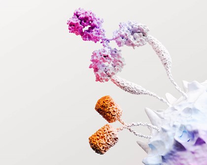 Représentation 3D de cellules immuno-oncologiques
