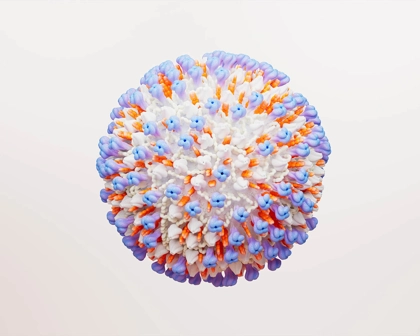 Représentation 3D d’une cellule virale du VRS