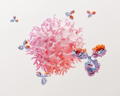 Représentation 3D du lupus