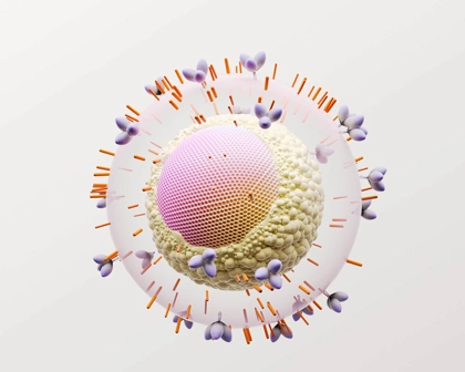 Représentation 3D d’une cellule virale du VIH