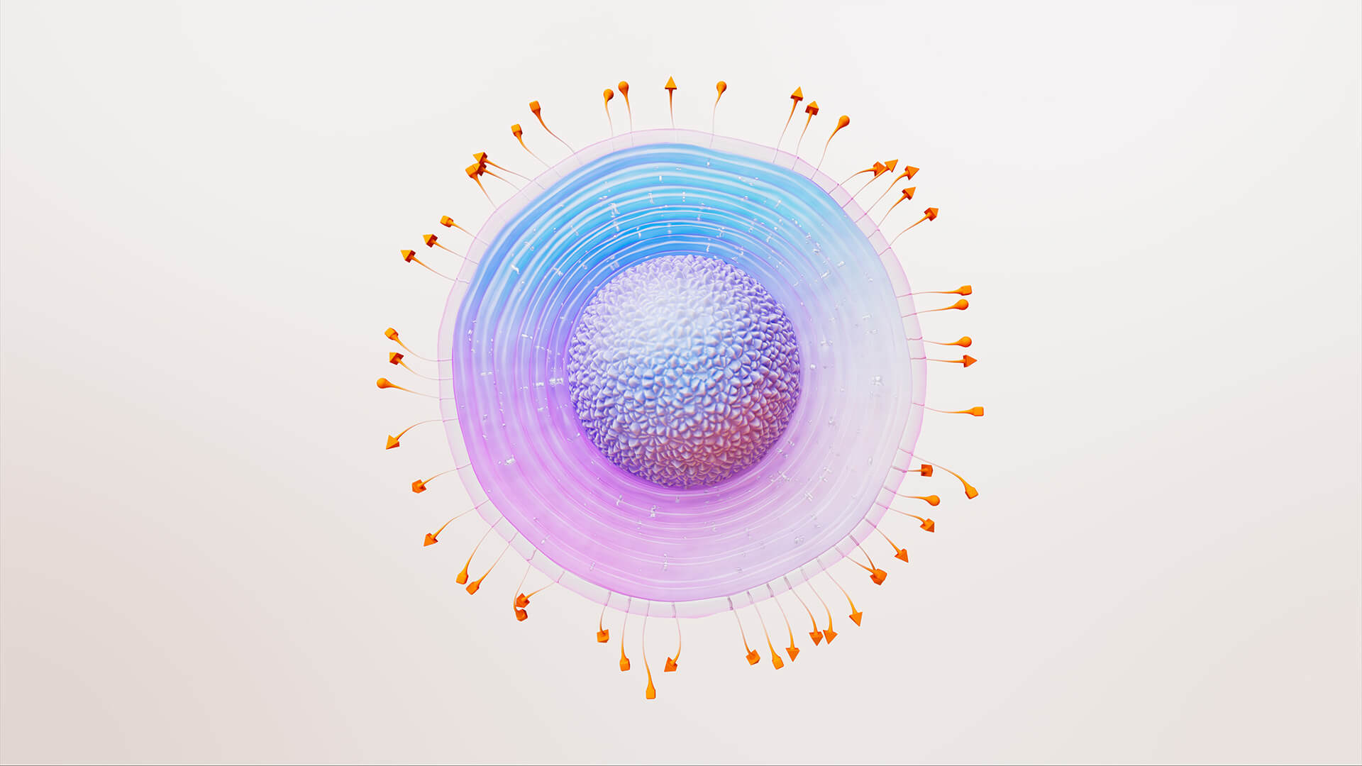 3D rendering of a shingles virus