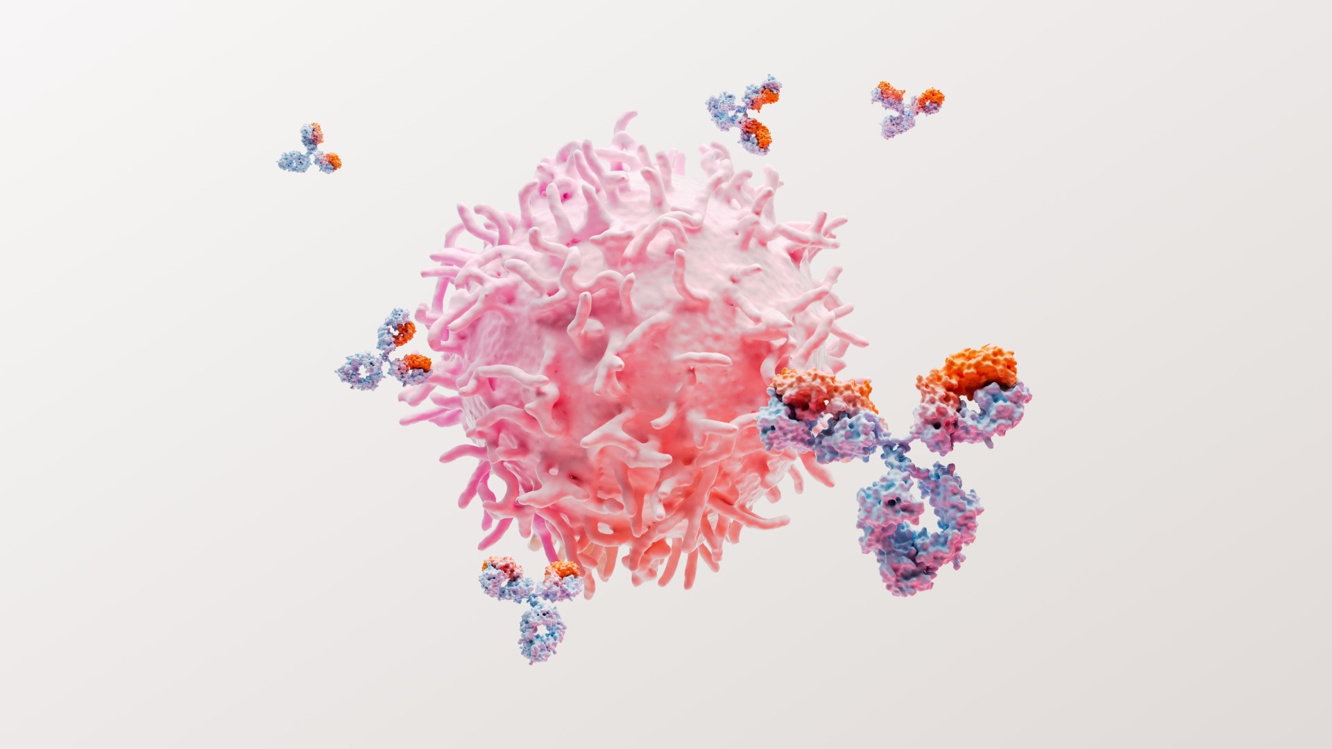 3D rendering of lupus
