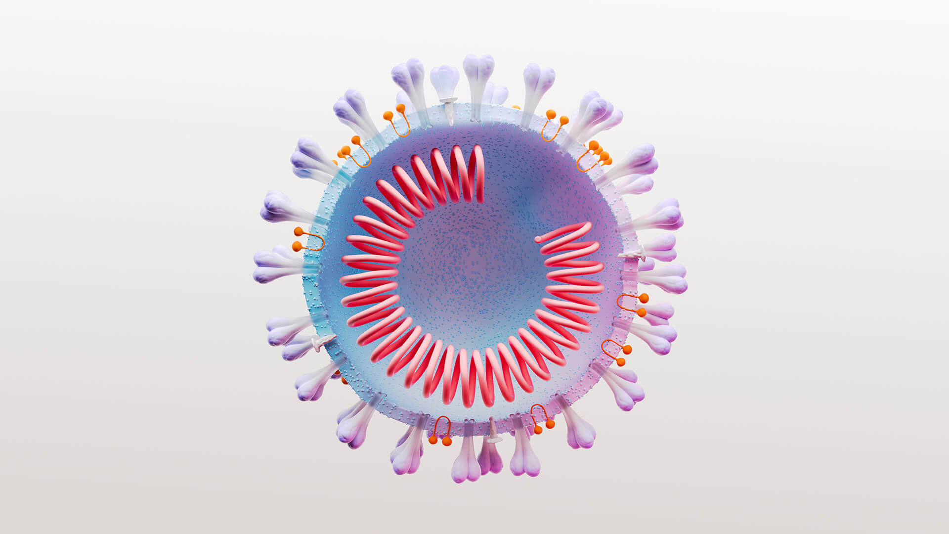 3D rendering of lupus