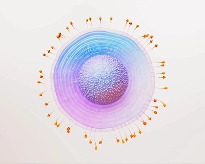 Représentation 3D d’une cellule virale du zona