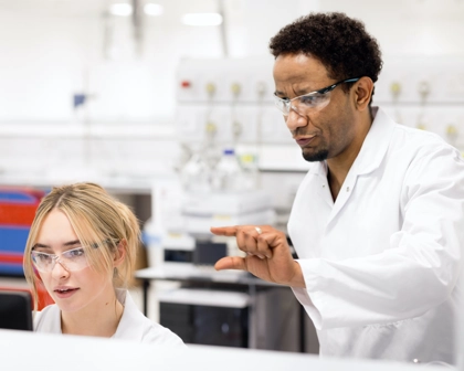 Équipe travaillant ensemble sur un projet à l’ordinateur