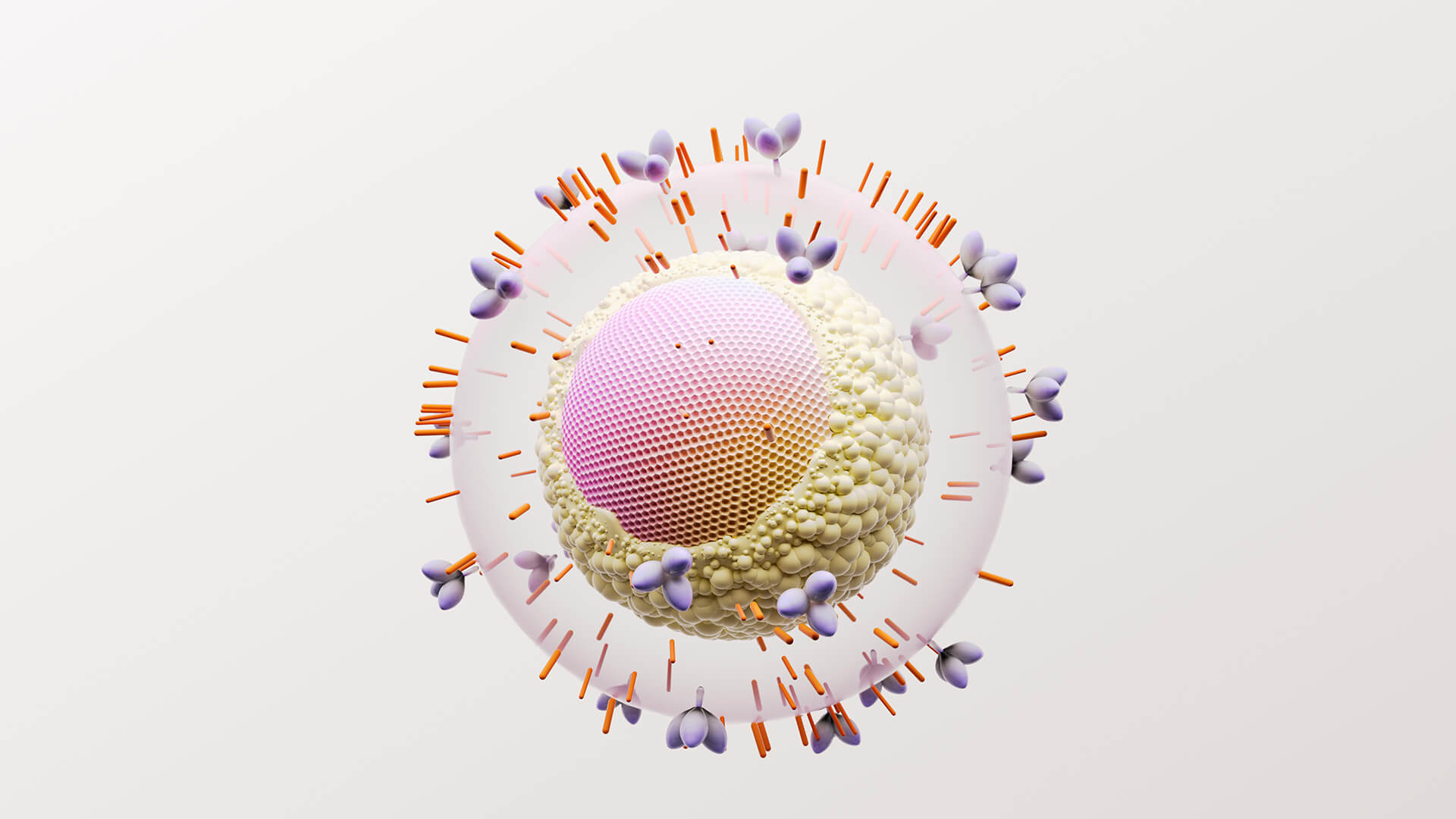 3D rendering of the HIV virus