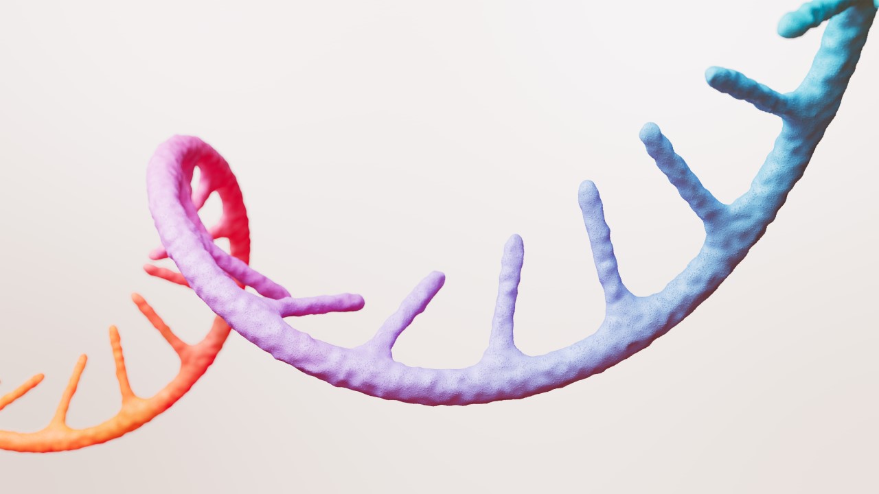 3D rendering of a DNA structure
