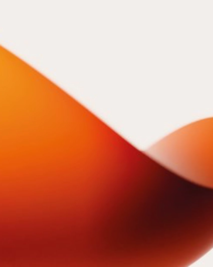 Orange texture