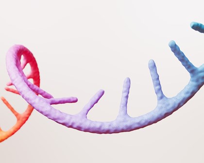 3D rendering of a DNA structure