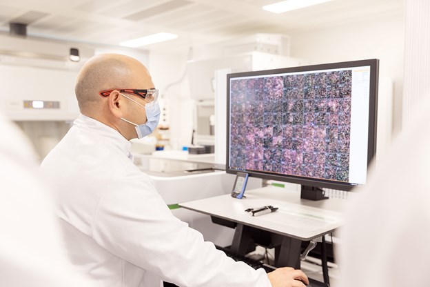 Man looking at a monitor