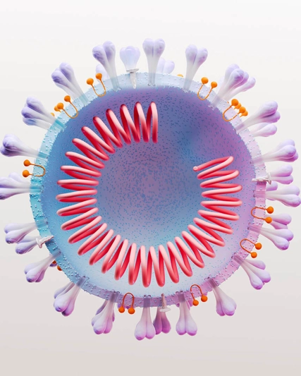 3D rendering of lupus