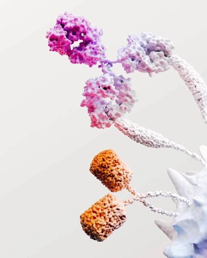 3D rendering of immuno-oncology cells